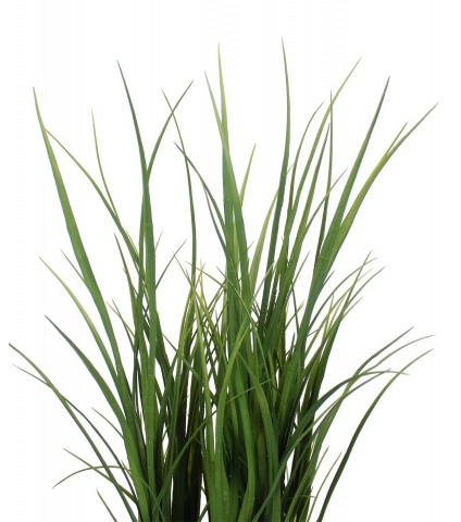 Citronnelle artificielle