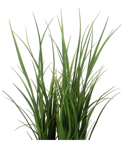 Citronnelle artificielle