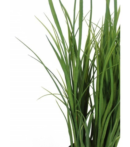 Citronnelle artificielle