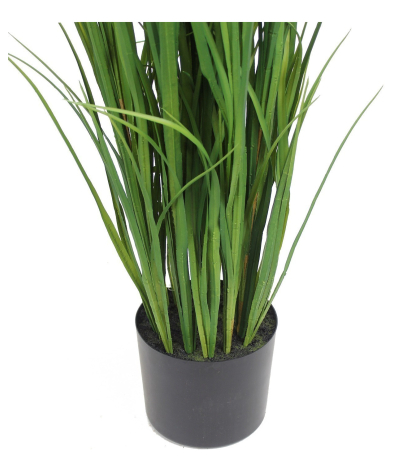 Pot