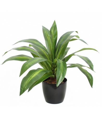 Dracaena vert et jaune artificiel