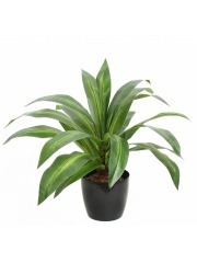 Dracaena vert et jaune artificiel