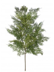 Feuille de cyprès artificielle