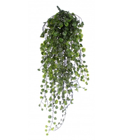 Chute de dichondra artificielle