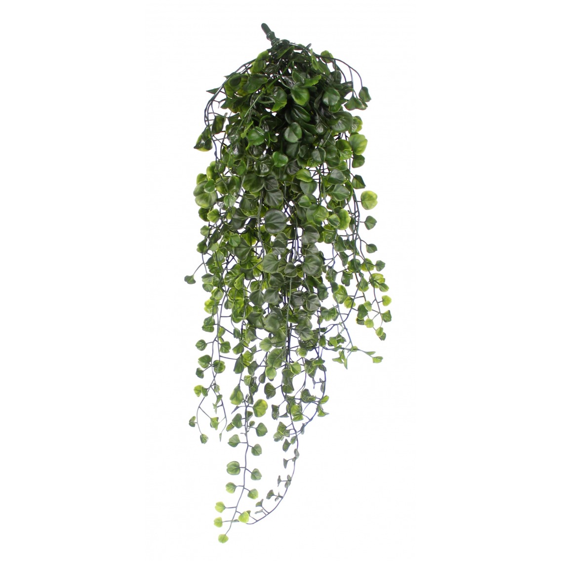 Chute de dichondra artificielle 60 cm - Plantes suspendues artificielles -  Artiplantes