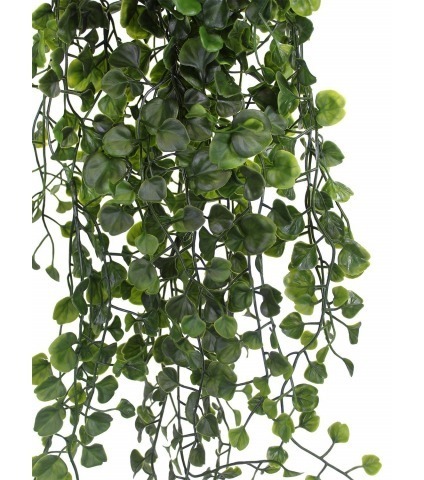 Chute de dichondra artificielle