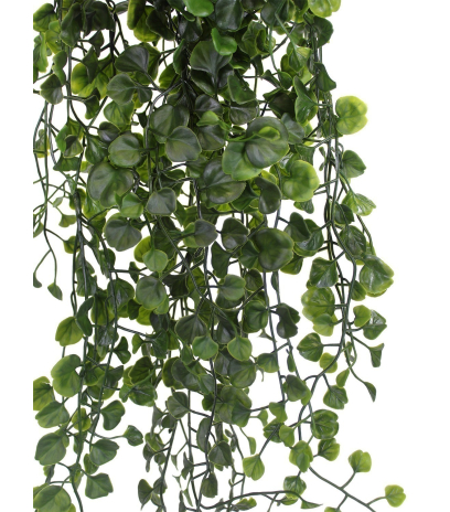 Chute de dichondra artificielle