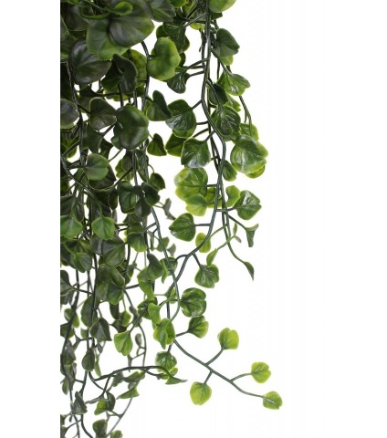 Chute de dichondra artificielle