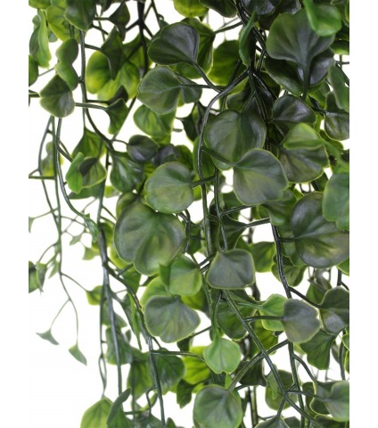 Chute de dichondra artificielle