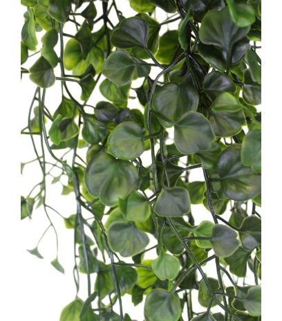 Chute de dichondra artificielle
