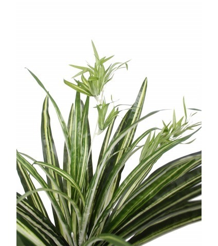 Chlorophyton chevelu artificiel