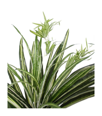 Chlorophyton chevelu artificiel
