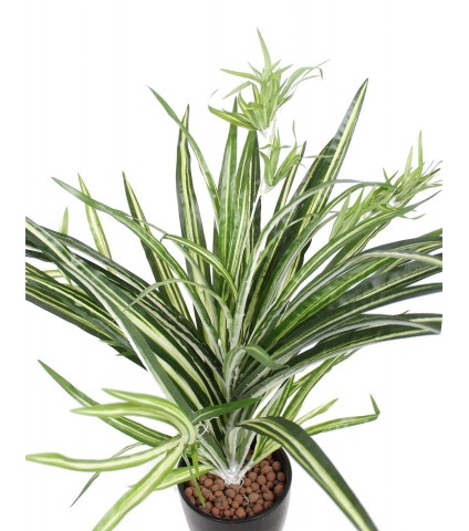 Chlorophyton chevelu artificiel