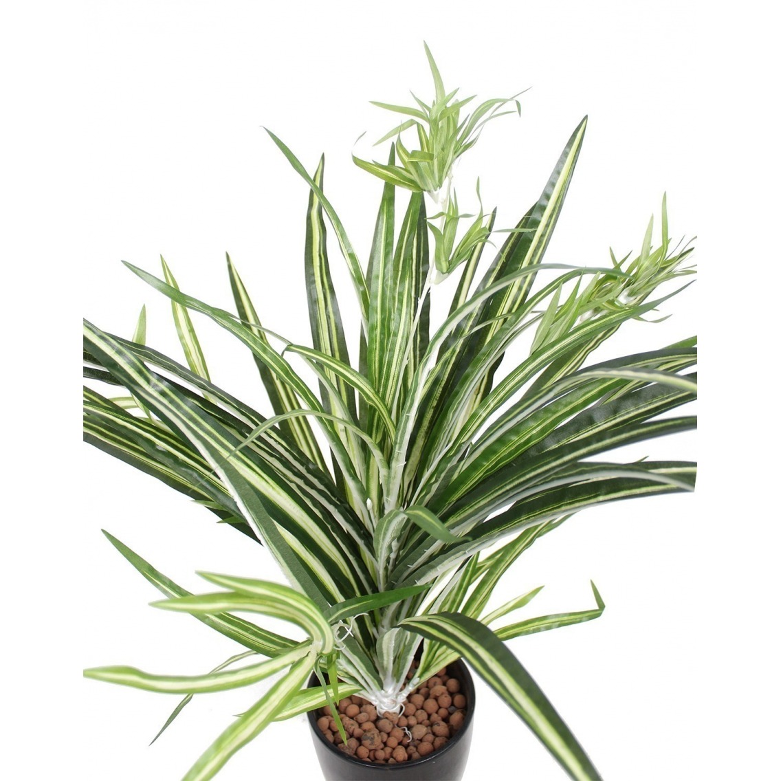 Chlorophytum Artificiel main image 0
