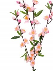 Tige de cerisier artificiel rose