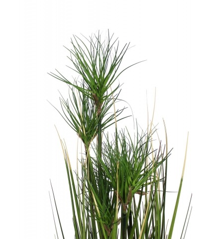 Chrysopogon artificiel