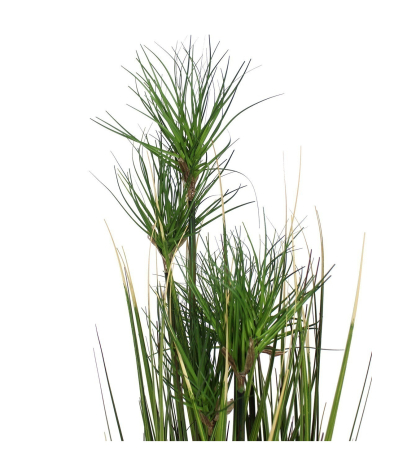 Chrysopogon artificiel