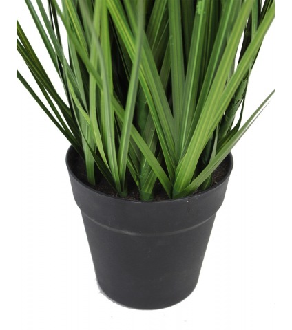 Chrysopogon artificiel