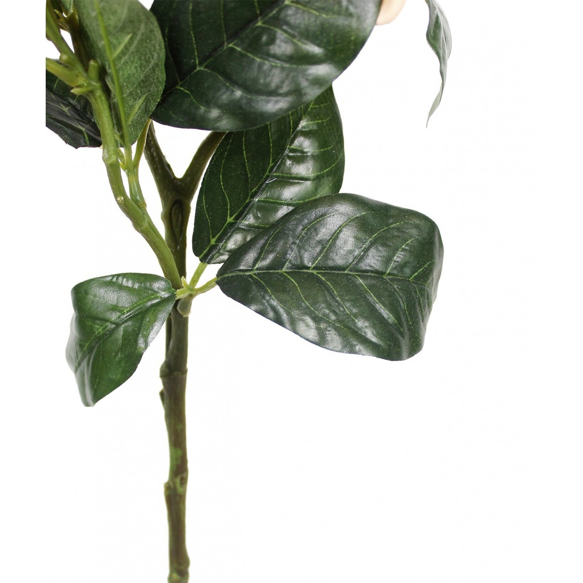 Arbre Gardénia Artificiel 1,8m - Fleurs Blanches - Sans Entretien
