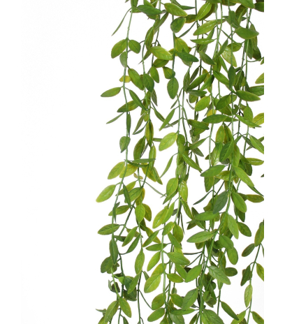 Chute d'eucalyptus artificielle