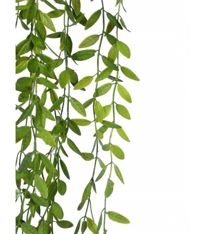 Chute d'eucalyptus artificielle