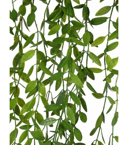 Chute d'eucalyptus artificielle