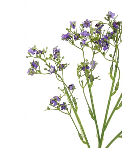 Myosotis artificiel violet