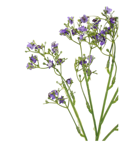 Myosotis artificiel violet