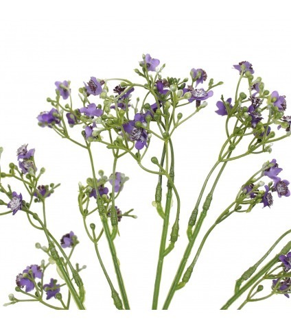 Myosotis artificiel violet