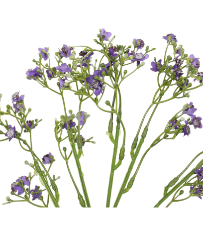 Myosotis artificiel violet