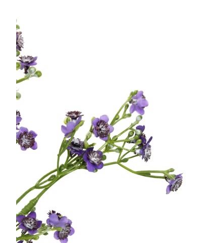 Myosotis artificiel violet