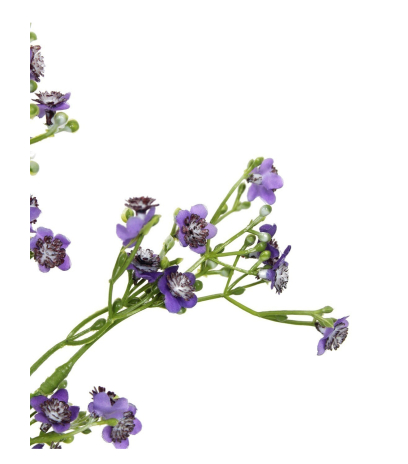 Myosotis artificiel violet