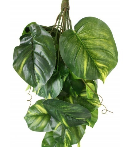 Scindapsus doré artificiel