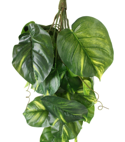 Scindapsus doré artificiel