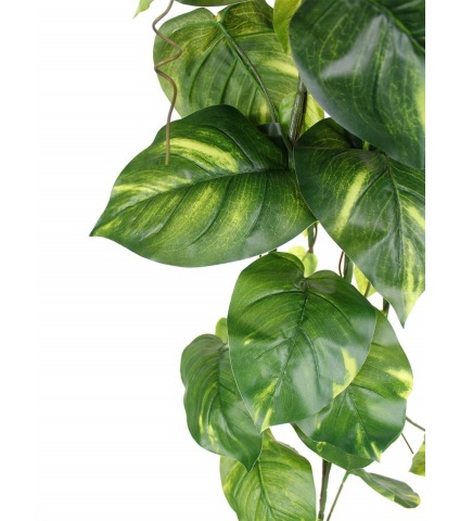 Scindapsus doré artificiel