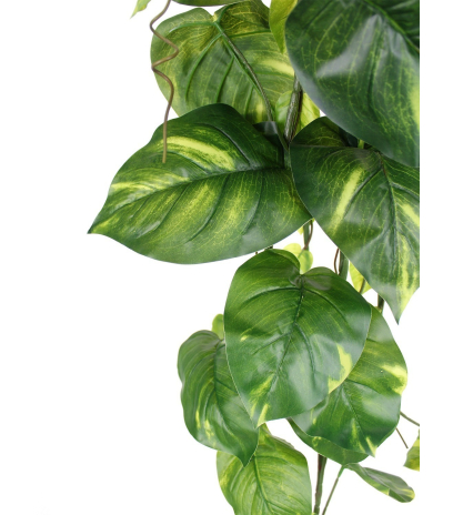 Scindapsus doré artificiel