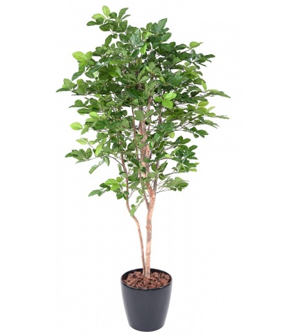 Hêtre à grandes feuilles artificiel
