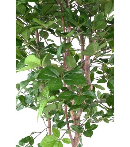 Hêtre à grandes feuilles artificiel