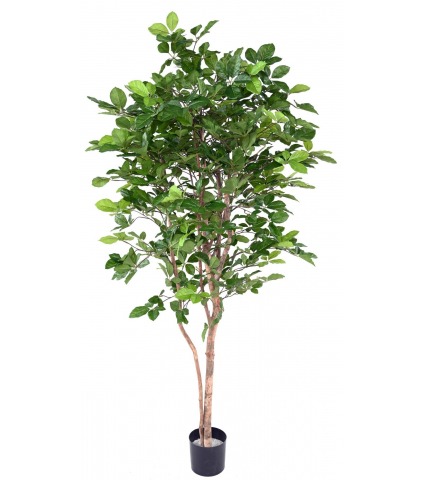 Hêtre à grandes feuilles artificiel