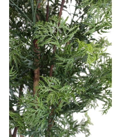 Polyscias ligneux artificiel