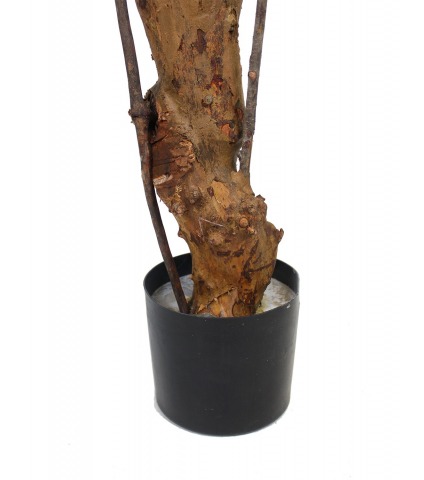 Polyscias ligneux artificiel