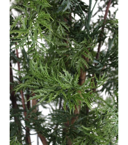 Polyscias ligneux artificiel