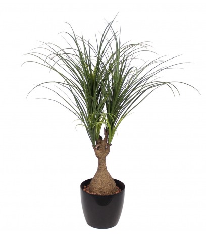 Beaucarnea artificiel