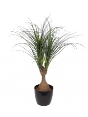 Beaucarnea artificiel