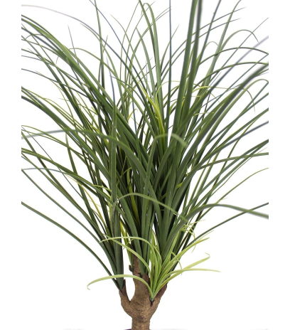Beaucarnea artificiel