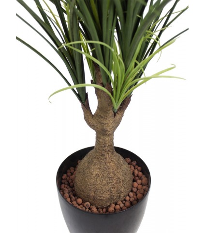 Beaucarnea artificiel