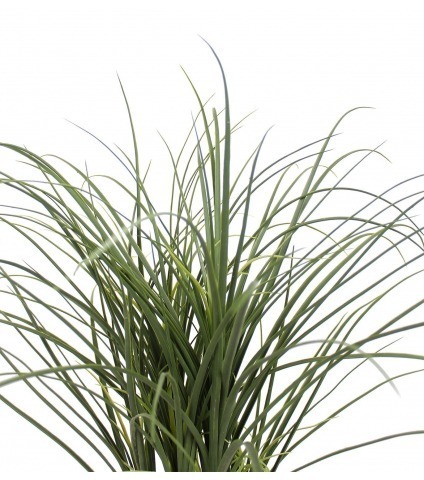 Beaucarnea artificiel