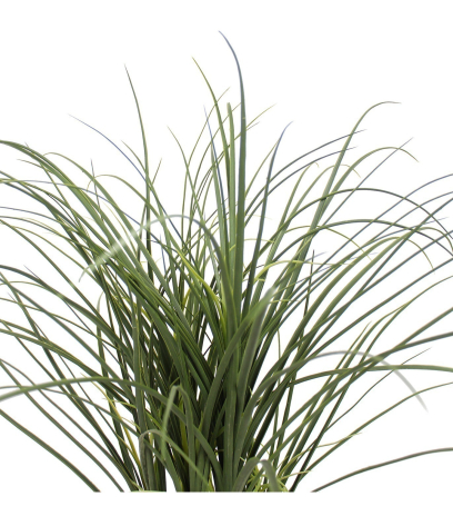 Beaucarnea artificiel