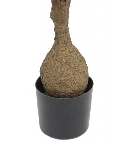 Beaucarnea artificiel