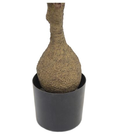 Beaucarnea artificiel